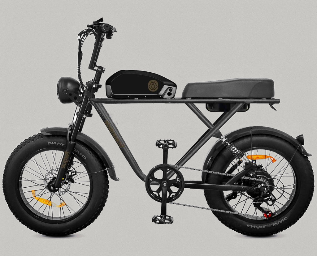 Oceanside Electric Bikes Gold Coast Oceanside Bikes oceanside-electric-bikes-gold-coast-oceanside-bikes